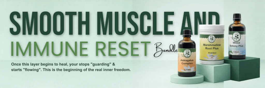 Smooth muscle and immune system
